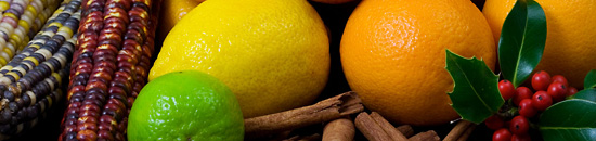 免费ddos攻击网页端